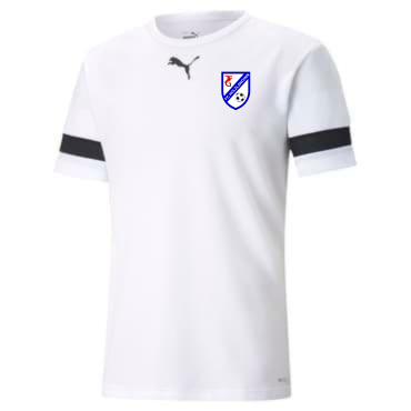 Puma teamRise Trikot - Herren